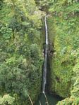 Lower Puohokamoa Falls (Hana Hwy, 10 m/m)
